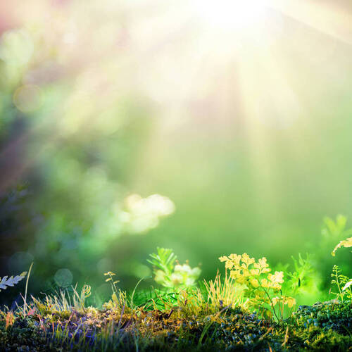 Et si je faisais des choix plus sobres?